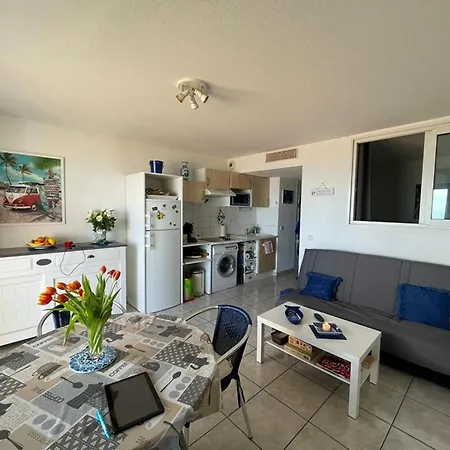 Apartment T2 Avec Terrasse, Climatisation Et Parking A - Fr-1-413-236 *